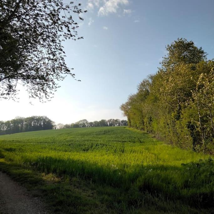 فيلا Le Cinq, Au Coeur Du Vexin Themericourt المظهر الخارجي الصورة